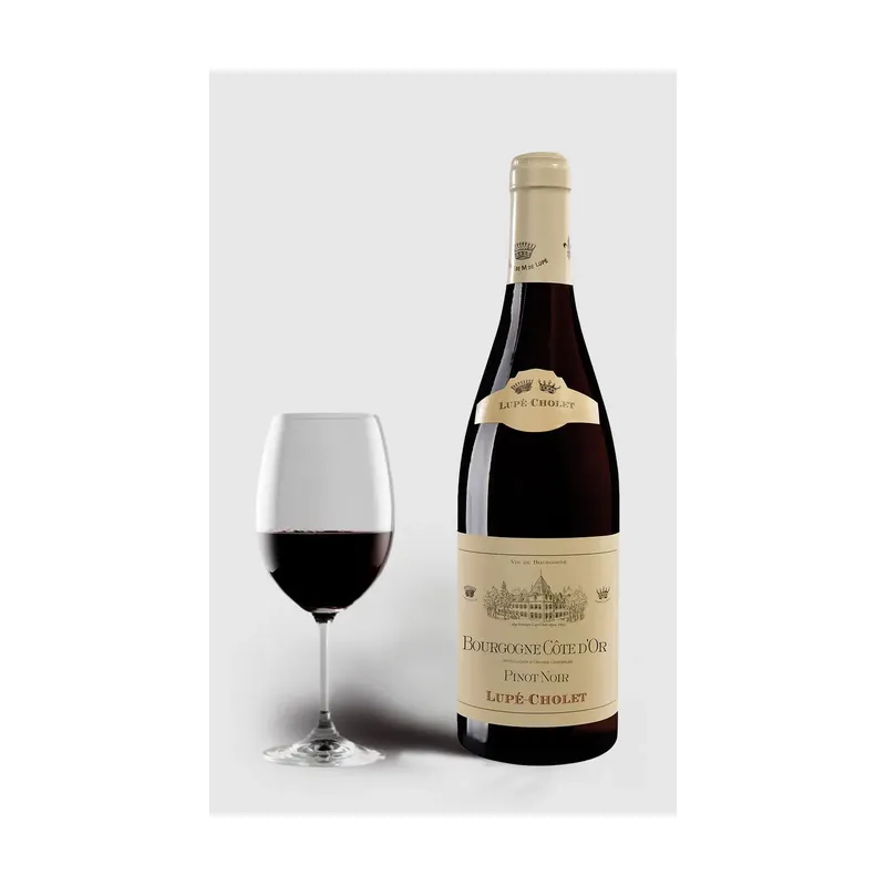 Lupe-Cholet 2022 Pinot Noir Cote D´Or Bourgogne