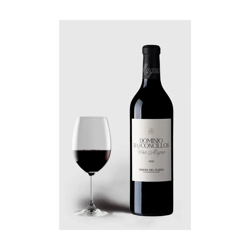 Dominio Basconcillos Crianza MAGNUM 2020