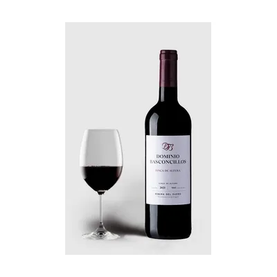 Dominio Basconcillos Vina Magna Altura MAGNUM