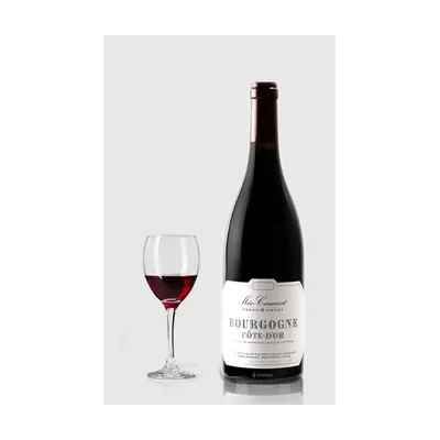 Domaine Méo-Camuzet Rouge Cote D´Or 2023