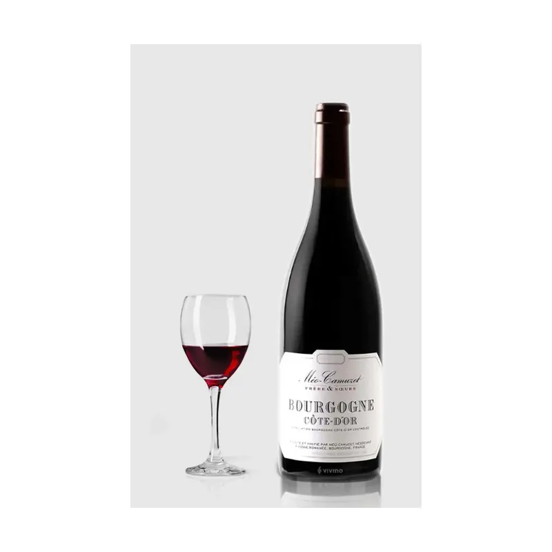 Domaine Méo-Camuzet Rouge Cote D´Or 2023