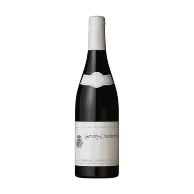 Domaine Georges Lignier et Fils, Gevrey-Chambertin 2021