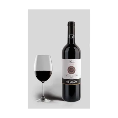 Pio Cesare Fides Barbera Dalba 2020 Piemonte